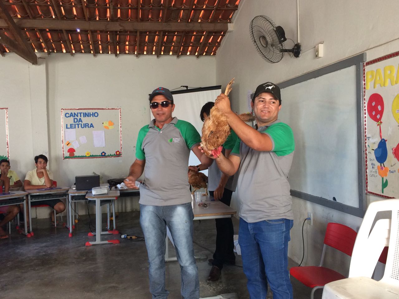 Secretaria de Políticas do Campo aposta na criação de galinha caipira como fortalecimento de renda para agricultores