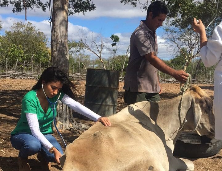 Prefeitura de Caraúbas disponibiliza atendimento veterinário para criadores do município