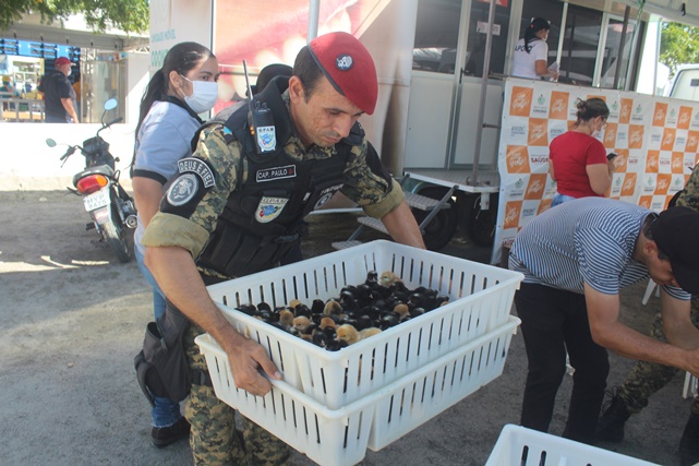 Sétimo lote de aves caipiras é entregue aos agricultores no primeiro dia de Expoeste em Caraúbas